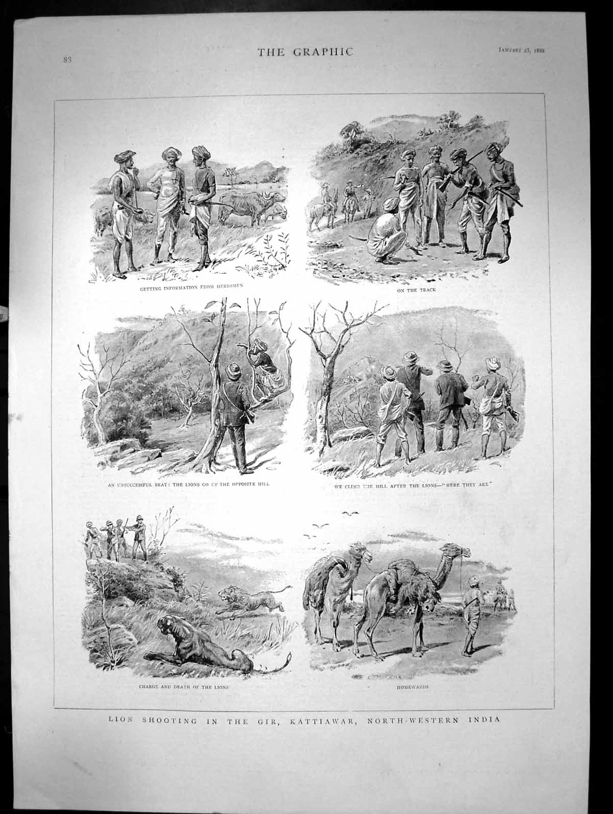 Antique Old Print Lion Shooting In The Gir Kattiawar North-Western India 1888