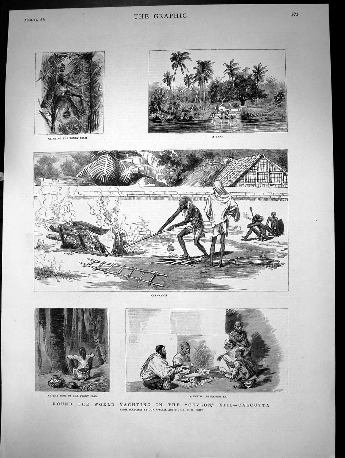 Old Print Round The World Yachting In The Ceylon Calcutta Palm Tree 1882 19th
