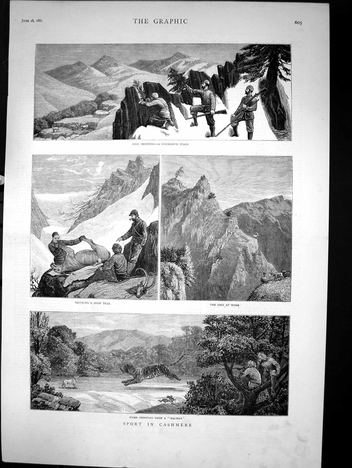 Antique Print Sport In Cashmere Tiger Shooting Ibex Skinning Snow Bear 1881