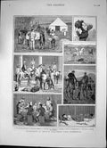 Old Print Pig Sticking India Subalterns First Experience Camp Guide 1880 19th
