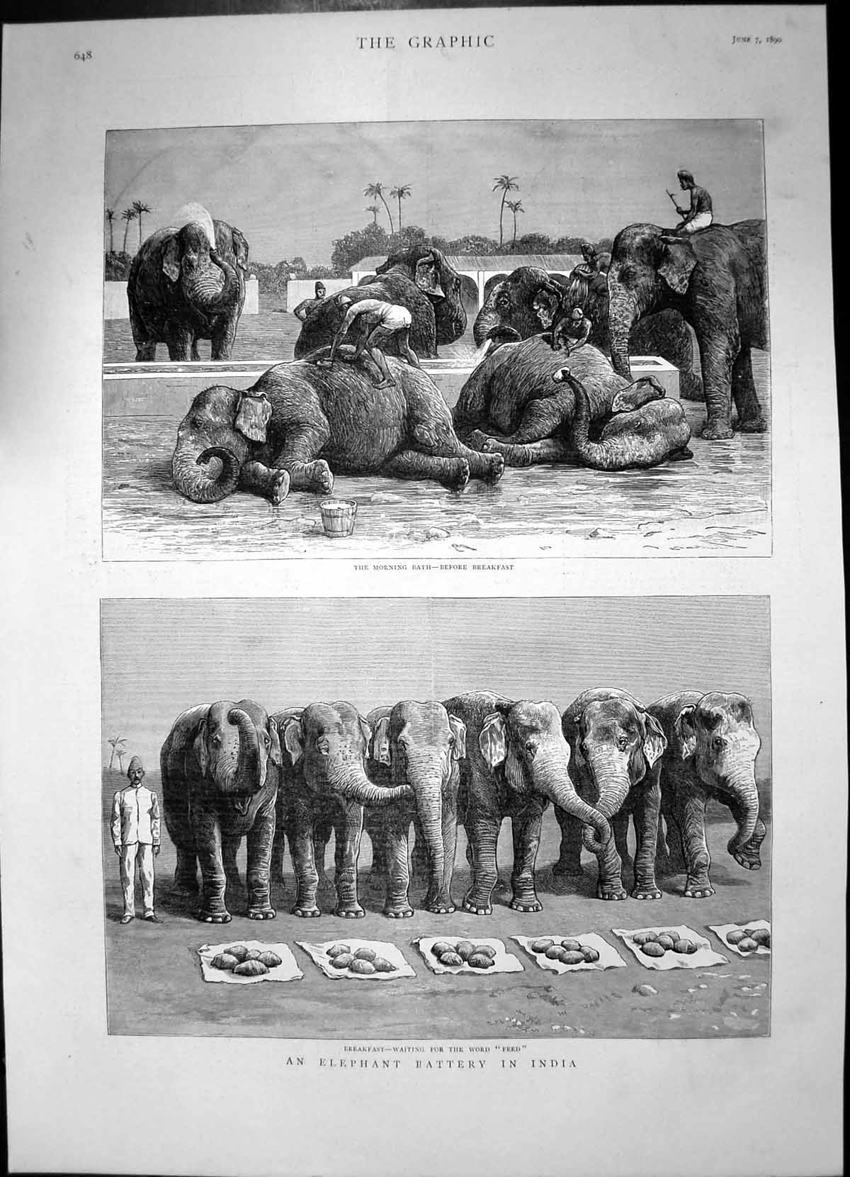Antique Old Print Elephant Battery India Morning Bath Waiting Breakfast 1890