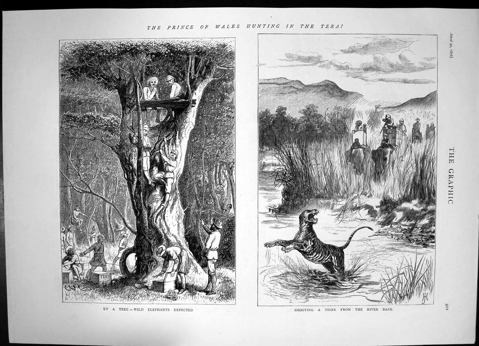 Antique Print Prince Wales Hunting Terai Tree Elephants Shooting Tiger 1876