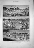 Old Print Indigi Cultivation Tirhoot Bengal Ploughing Factory Zyraths1881 19th