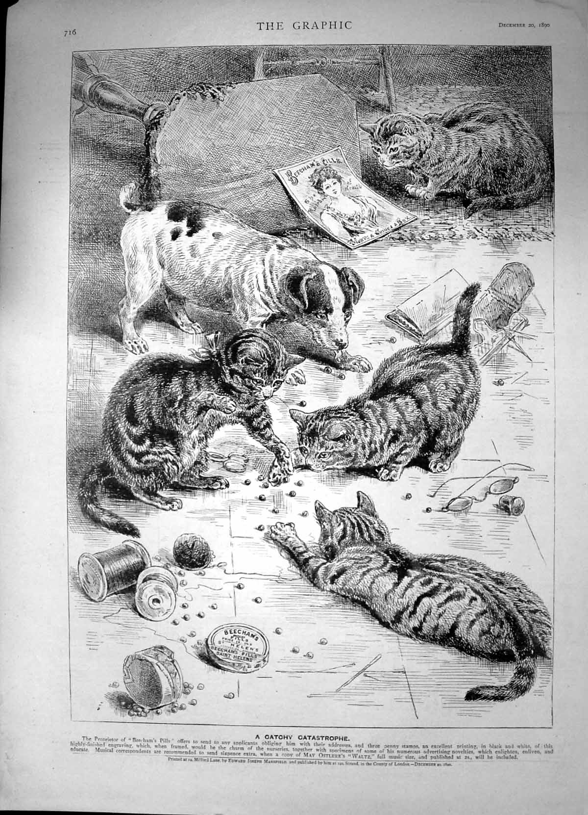 Antique Old Print Beechams Pills Cats Dog Playing Wool Beechams Pills 1890 19th
