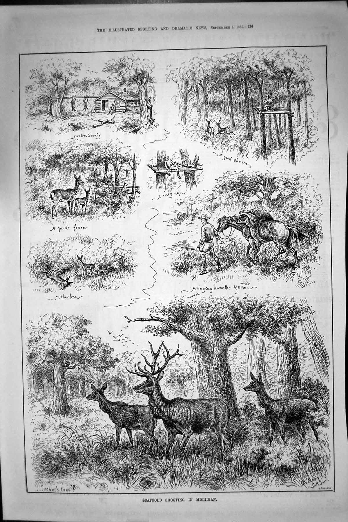 Original Old Antique Print 1886 ScaffShooting Michigan America Game Hunting