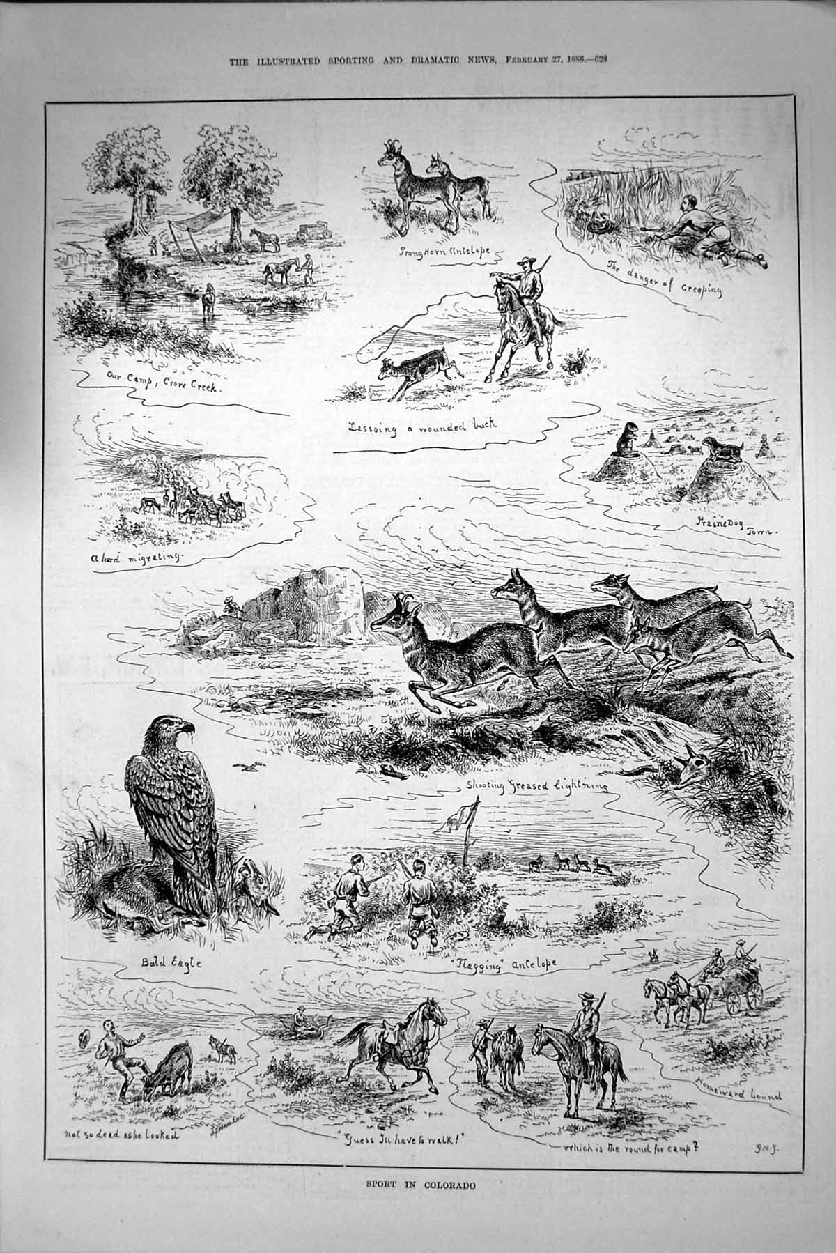Antique Print 1886 Sport Colorado America Hunting Buck Antelope Crow Creek 19th