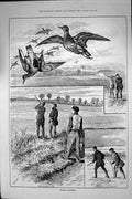 Original Old Antique Print 1886 Plover Shooting Hunting Birds Stalking Shooting