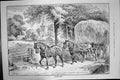 Original Old Antique Print 1887 Summer Time Horses Hay Cart Farming Agriculture