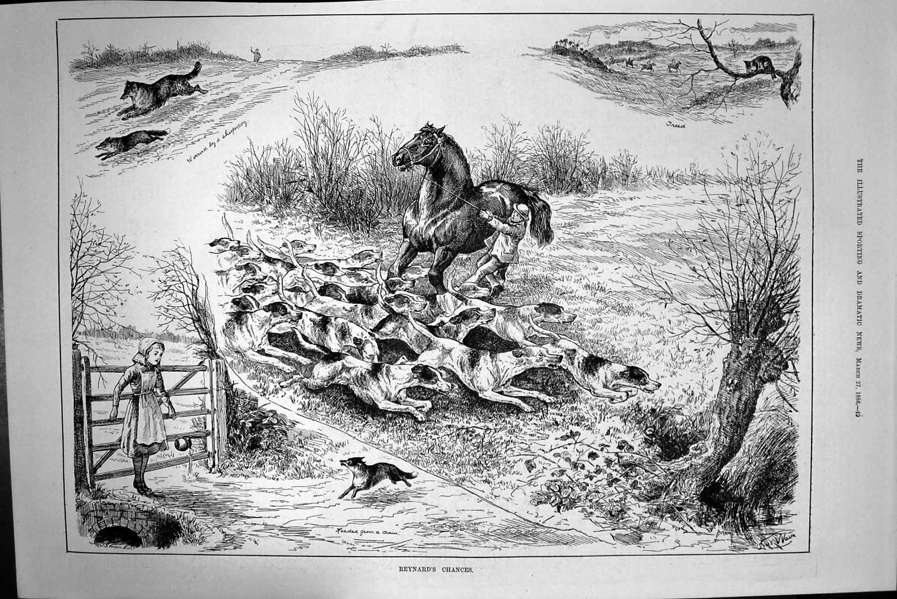 Antique Old Print 1886 Reynards Chances Fox Hunting Sport Hounds Dogs Horse