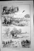 Old Antique Print Pheasant Shooting Hunting Birds Spinney Woodcock 1889 19th