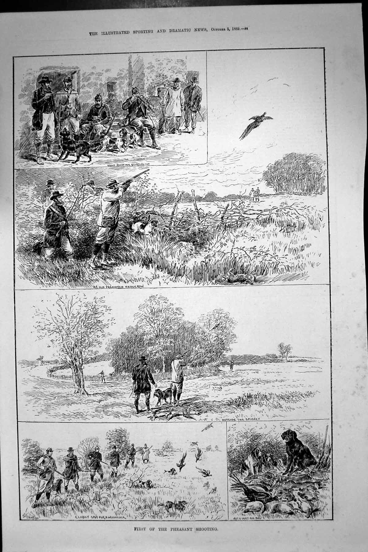 Old Antique Print Pheasant Shooting Hunting Birds Spinney Woodcock 1889 19th
