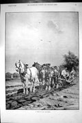 Original Old Antique Print Farming Agriculture Ploughing Horses Field 1892 19th