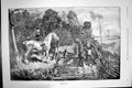 Original Old Antique Print 1891 Water Lilies Flower Horses Man Lady Romance