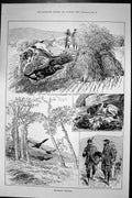 Old Antique Print 1889 Blackcock Shooting Hunting Sport Royal Game Birds 19th