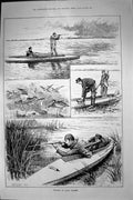 Old Antique Print Punting Tidal Waters River Dunlin Shooting Hunting 1891 19th