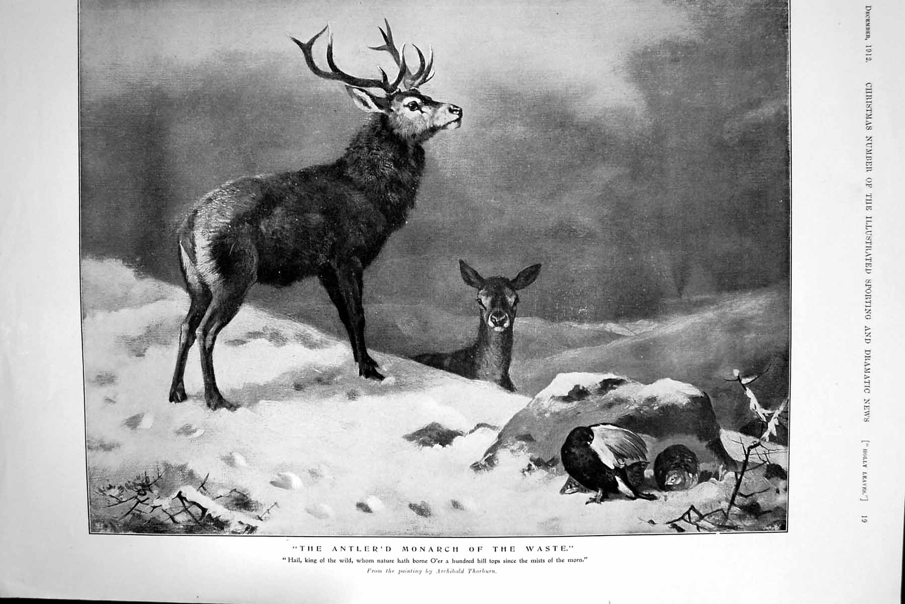 Antique Old Print 1912 Antler'S Monarch Waste Stag Deer Grouse Snowy Mountain