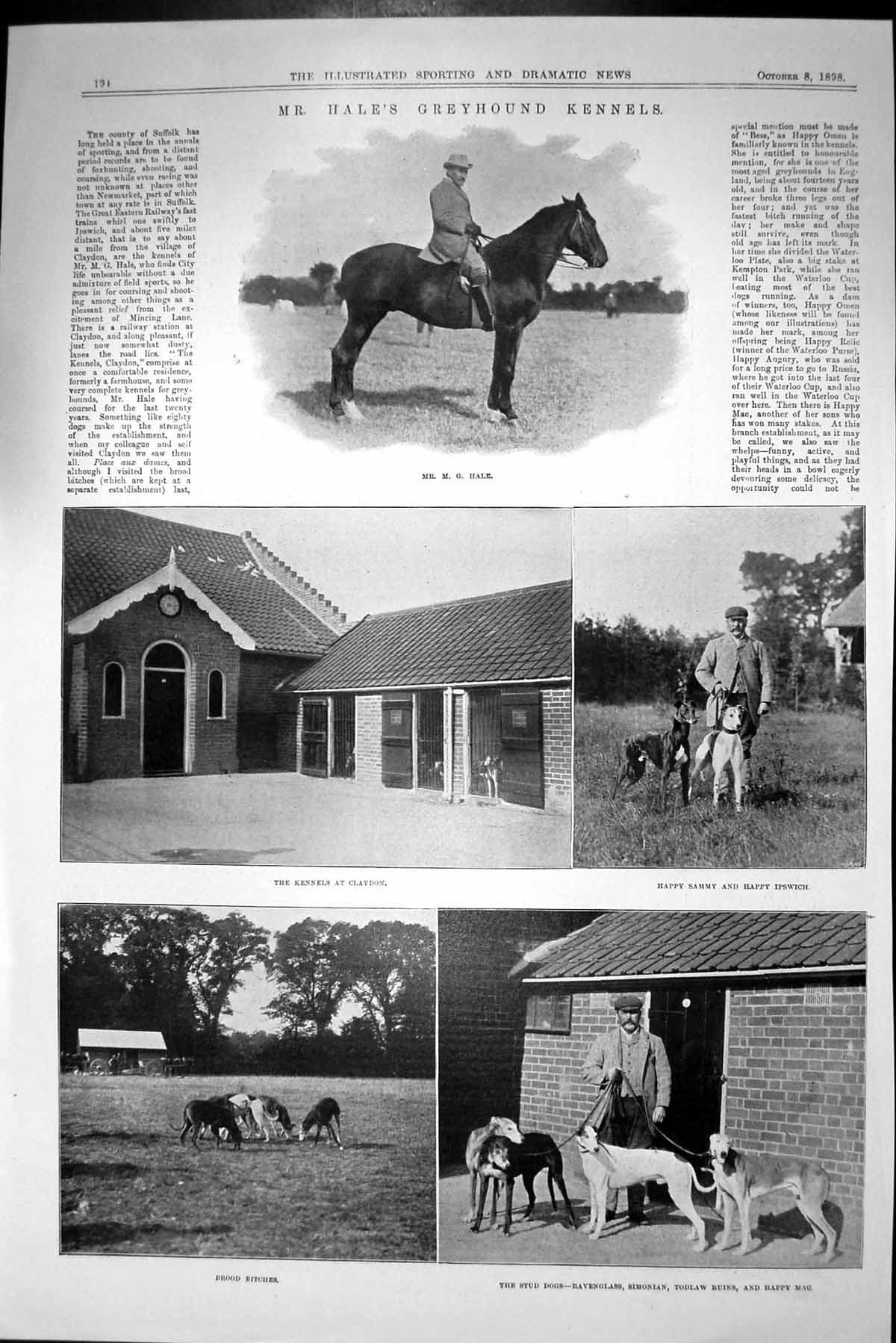 Old 1898 Mr Hale Greyhound Kennels Claydon Dogs Sammy Ipswich Todlaw Victorian