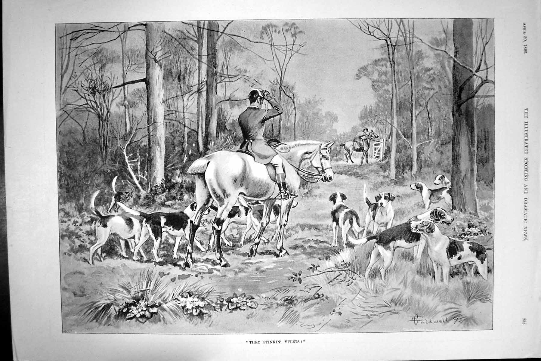 Original Old Antique Print 1892 Fox Hunting Violet Flowers Hounds Horses Sport