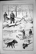 Original Old Antique Print 1887 Hunting Shooting Sport Snow Birds Rabbits 19th