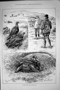 Old Antique Print 1887 Grouse Shooting Hunting Moors Opening Day Season 19th