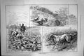 Old Antique Print 1887 Partridge Shooting Hunting Birds Sport Hounds Dogs 19th