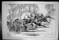 Original Old Antique Print International Hurdle Race Croydon 1879 Victorian