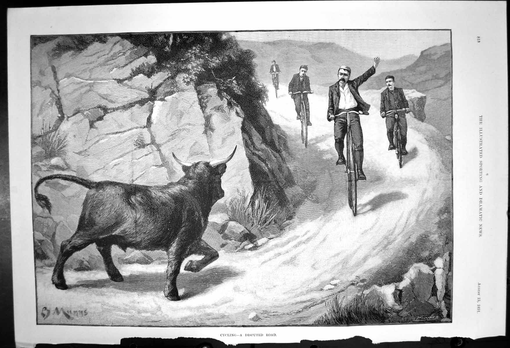 Original Old Antique Print Cycling Disputed Road Bull Horns Front Cyclists 1891