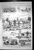 Old Antique Print Sport Harvest Field Shooting Rabbits Bagged Up Dog 1889 19th