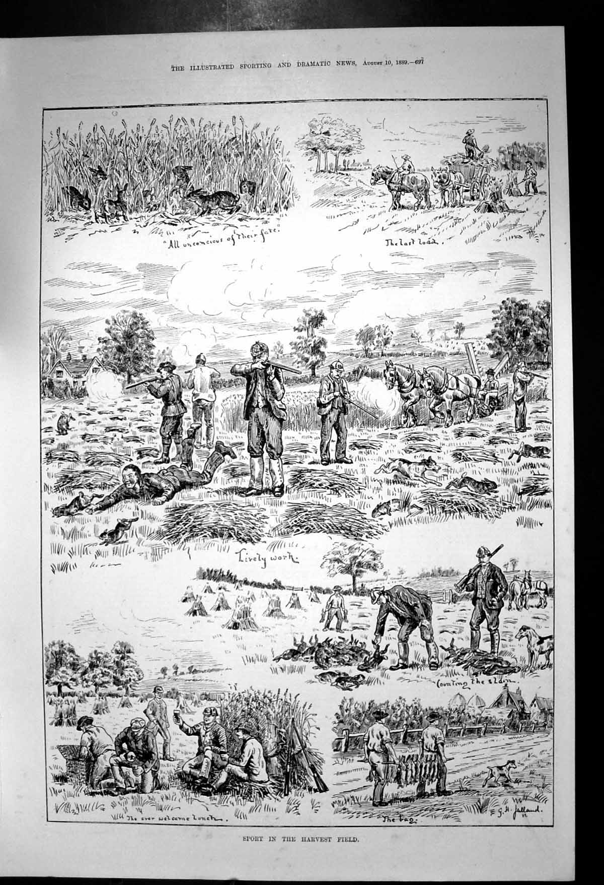 Old Antique Print Sport Harvest Field Shooting Rabbits Bagged Up Dog 1889 19th