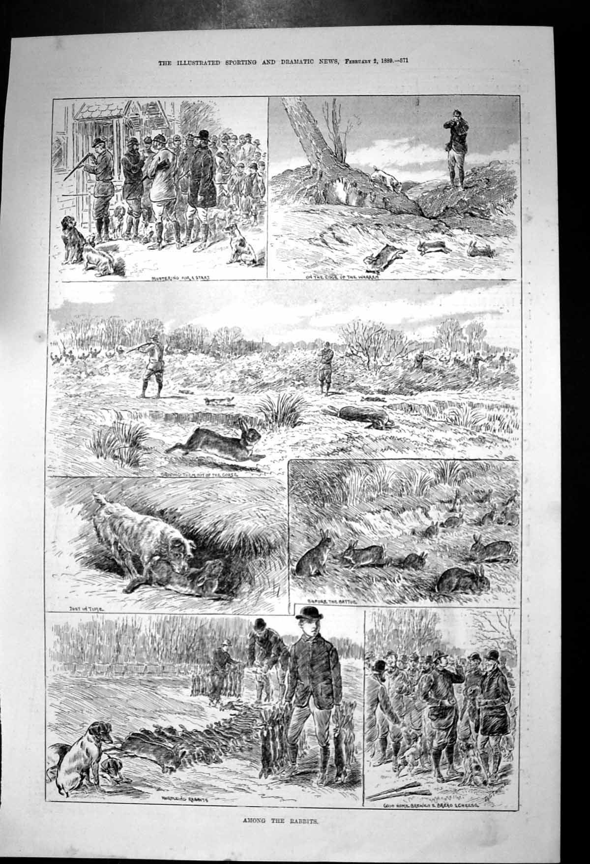 Old Antique Print Among Rabbits Shooters Mustering Warren Hurdleing 1889 19th