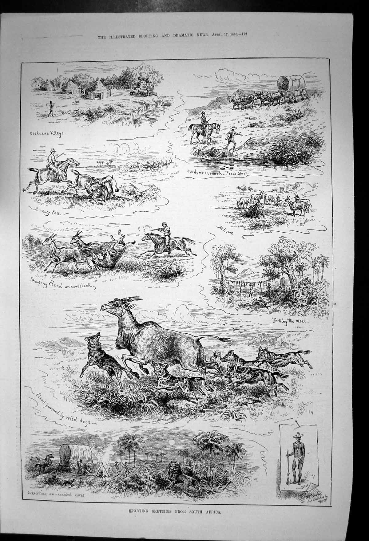 Old Antique Print Sport South Africa Shooting Eland Lions Bechuana 1886 19th