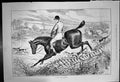 Old Antique Print Stone Wall Country Horseriders Jumping Walls Dogs 1891 19th