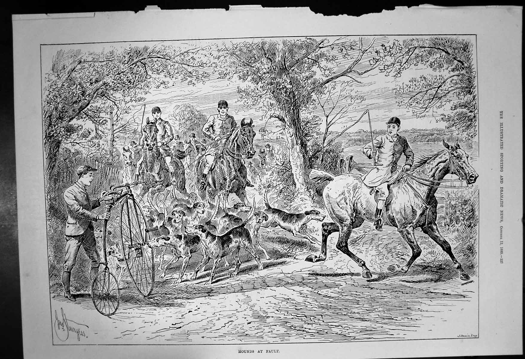 Old Antique Print Hounds At Fault Riders Horses Hounds Gent Bicycle 1889 19th