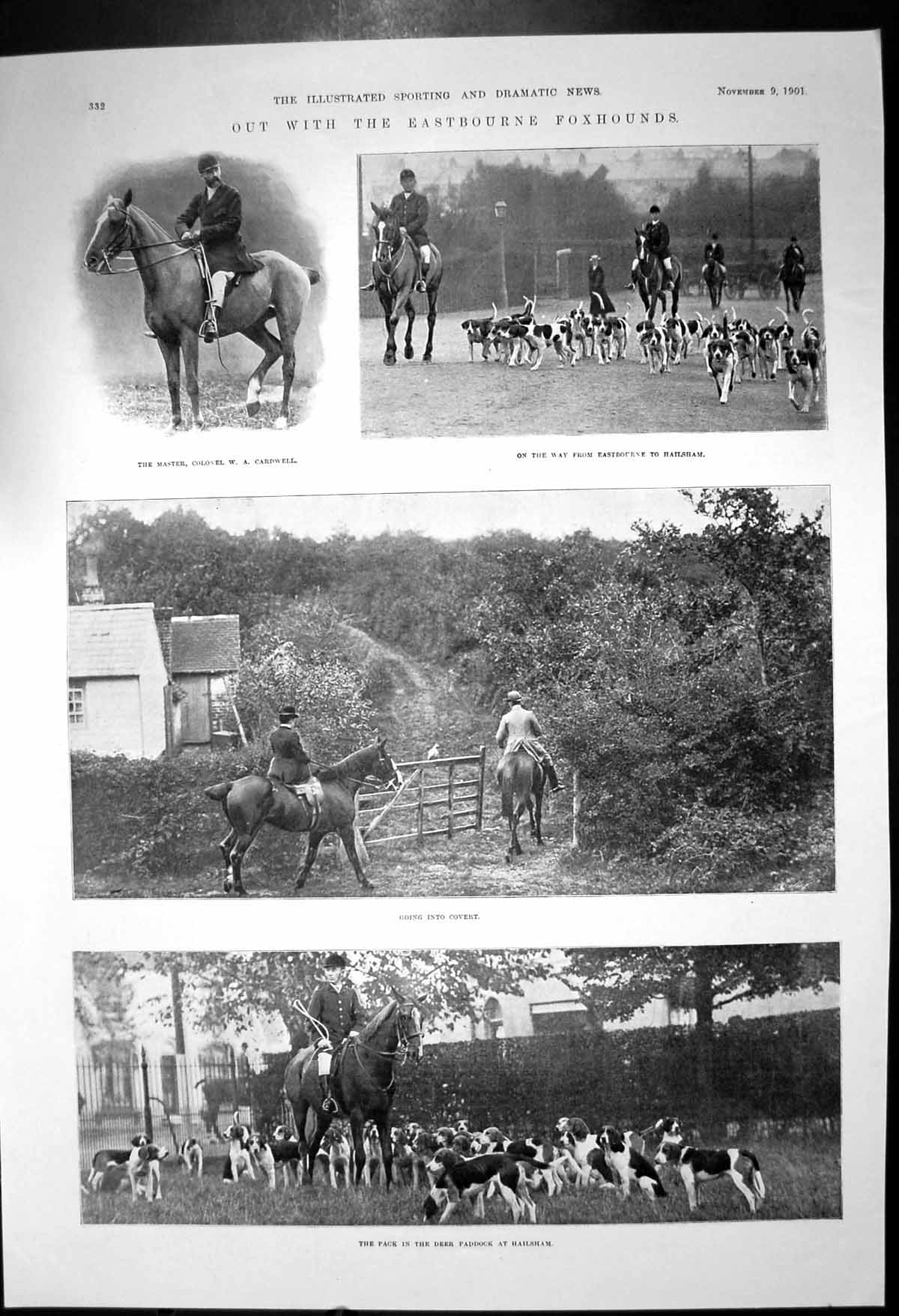 Old Antique Print Eastbourne Foxhounds Hailsham Deer Paddock Covert 1901 20th