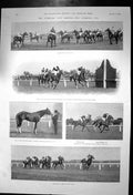 Old Print Liverpool July Meeting Liverpool Cup Horses Croxteth Plate1901 20th