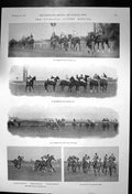 Old Antique Print Liverpool Autumn Meeting Horses Post Start Finish 1901 20th