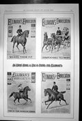 Original Old Antique Print Ellimans Embrocation Sprains Rheumatism Bruises 1898