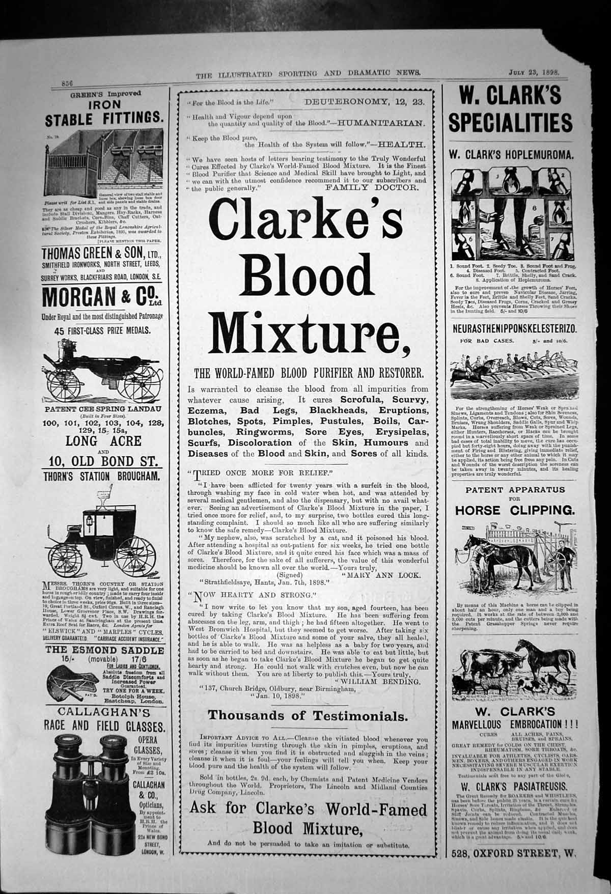 Antique Old Print Clarkes Blood Mixture Eczema Spots Clarks Embrocation 1898