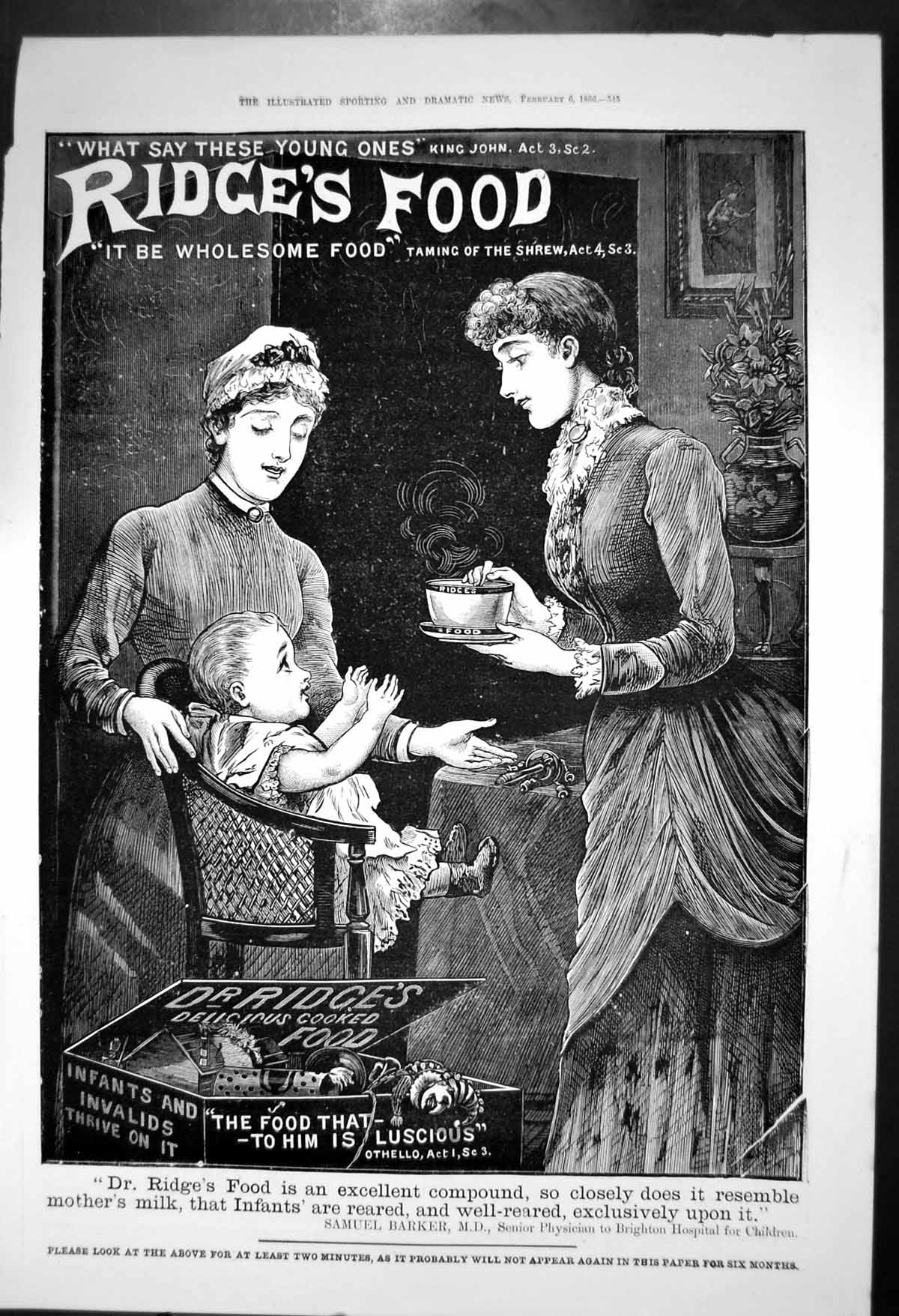 Original Old Antique Print Ridges Food Young Ones Wholesome Food Compound 1886