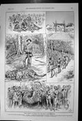 Old Antique Print Tiger Netting Mysore Grand Duke Alexander Sergius 1891 19th