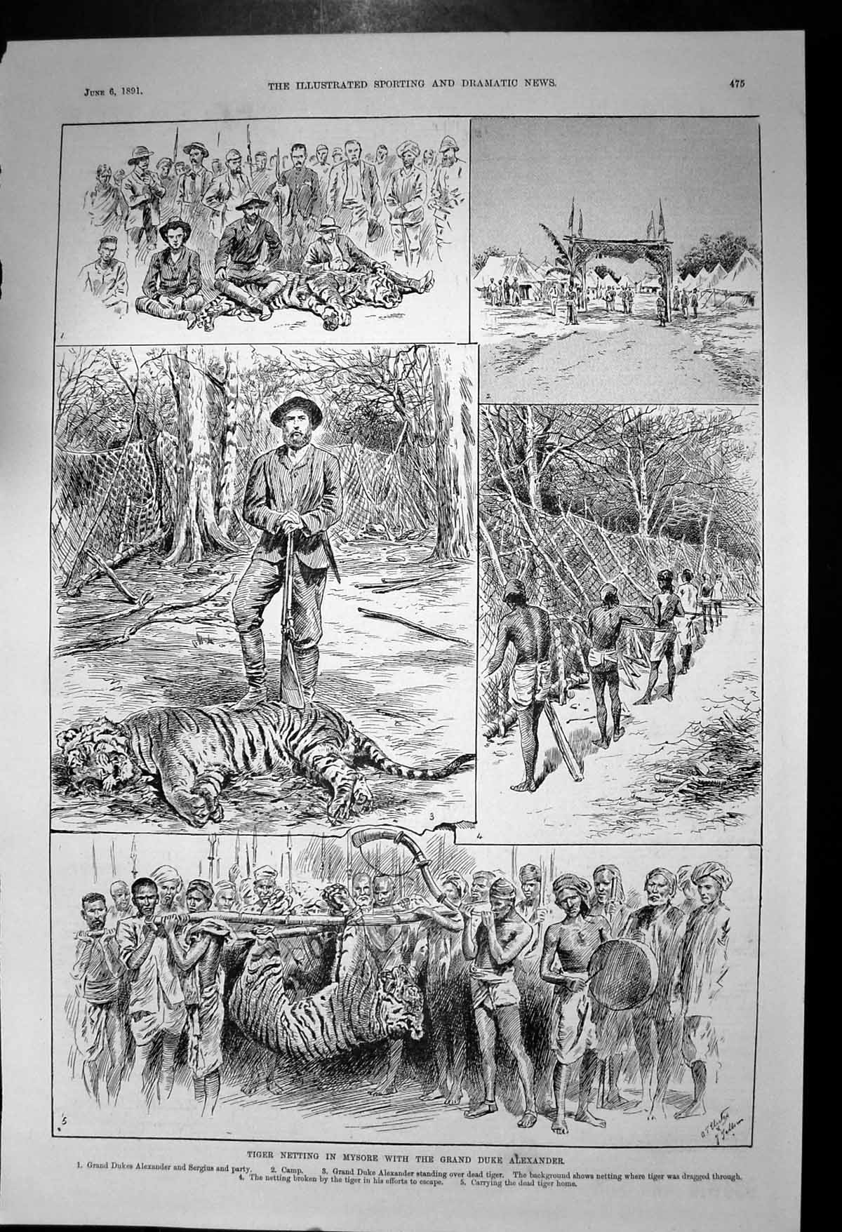Old Antique Print Tiger Netting Mysore Grand Duke Alexander Sergius 1891 19th