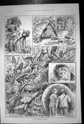 Original Old Antique Print Monkey Shooting India Camp Waiting Jungle 1892 19th