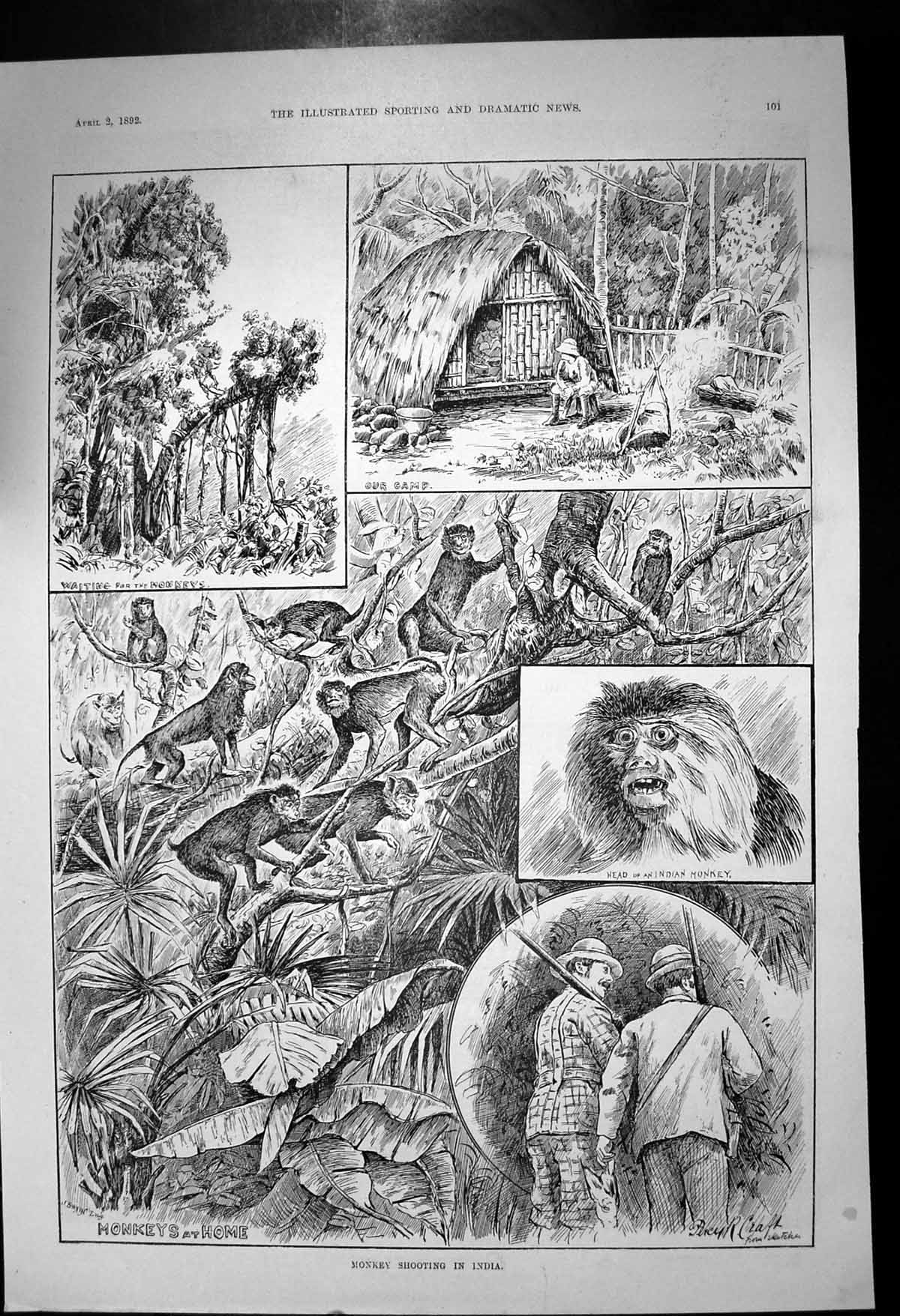 Original Old Antique Print Monkey Shooting India Camp Waiting Jungle 1892 19th
