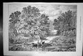 Antique Old Print Crossing Brook Horse Cart Lady Child Crossing Bridge 1887