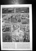 Old Vintage Print Zebra Pedestrian Crossing Regulations Motor Cars 1952 20th