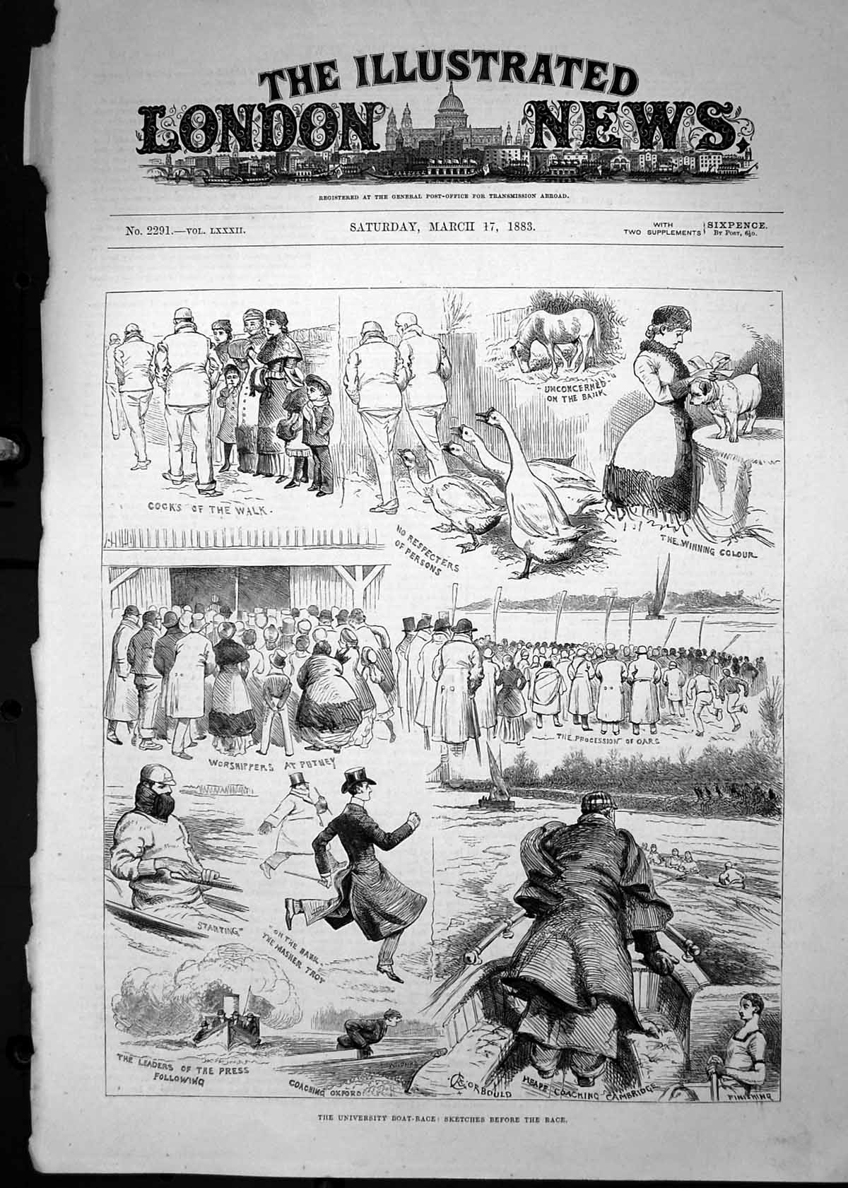 Old 1883 University Boat Race Procession Oars Putney Cambridge Sport Victorian