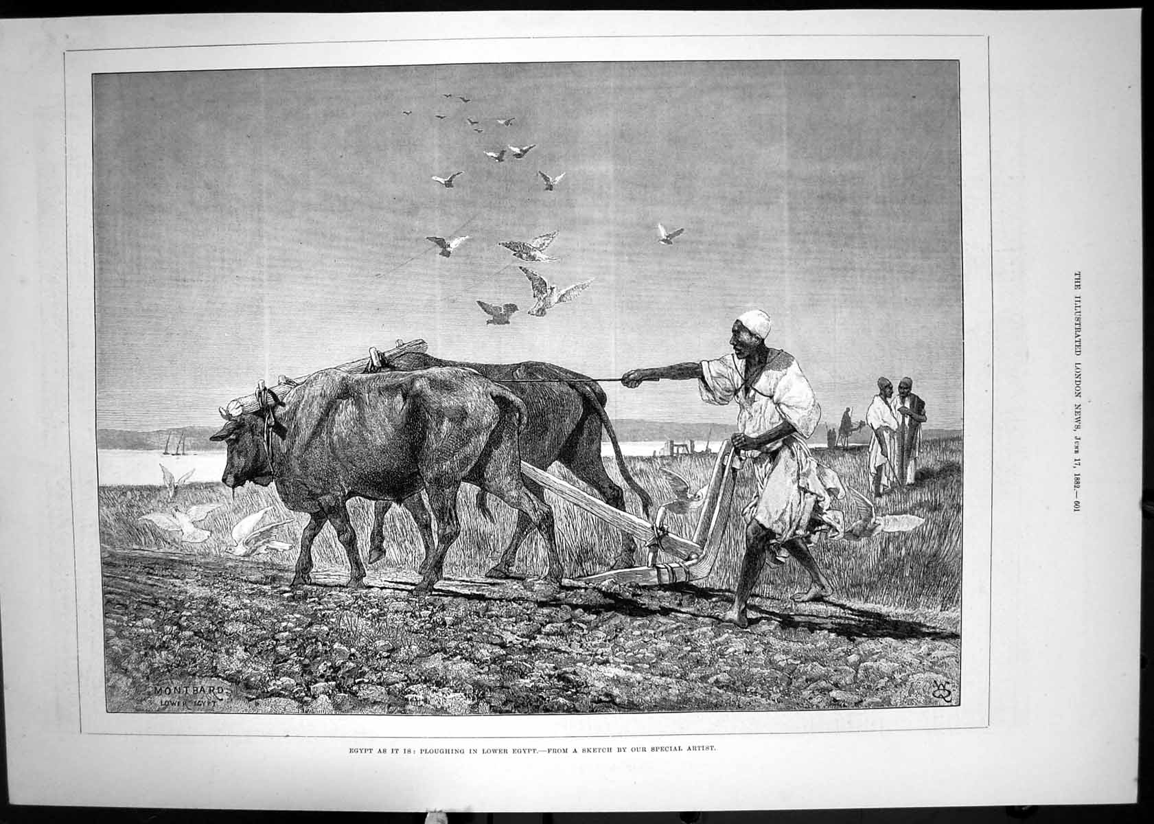 Original Old Antique Print Egypt 1882 Ploughing Farmer Agriculture Cows 19th