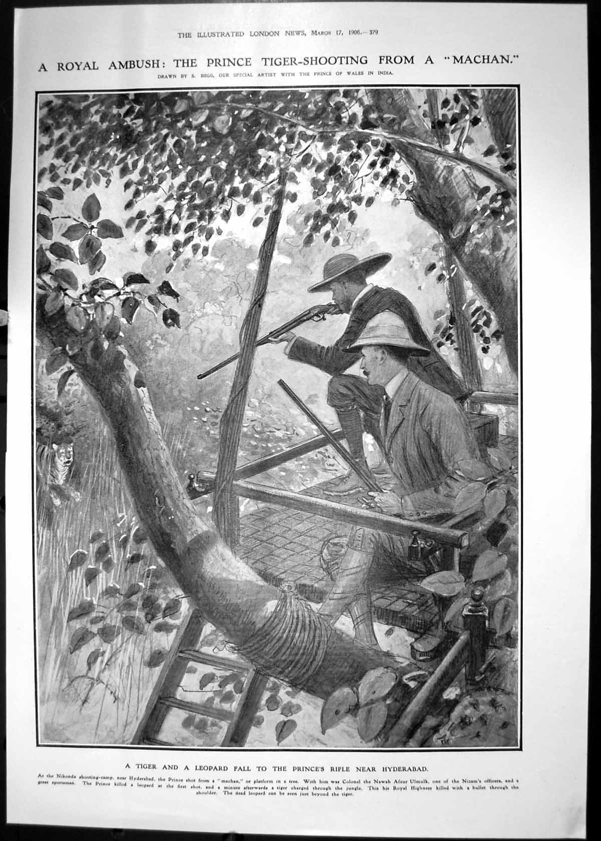 Antique Print 1906 Prince Wales Tiger Hunting Leopard Hyderabad India Sport