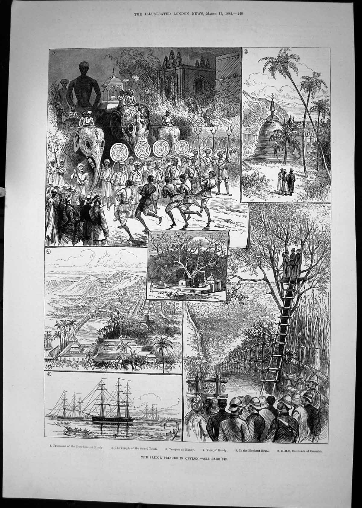 Old 1882 Sailor Princes Ceylon Ships Tempies Kandy Bucchante Colombo Victorian