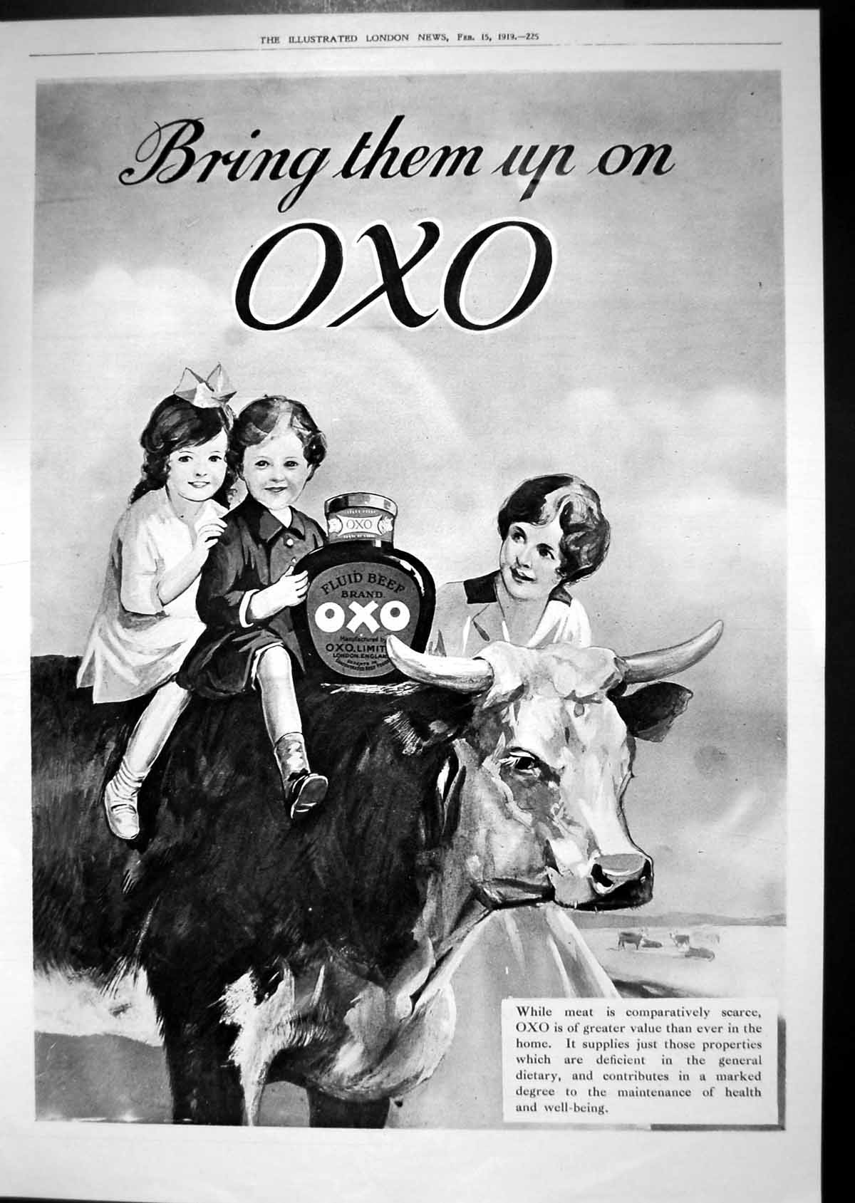 Old Vintage Print 1919 Advertisement Oxo Fluid Beed Brand Children Bull 20th